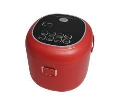 ALL RYDE 02823 - FIAMBRERA ELECTRICA 12V 24V 220V